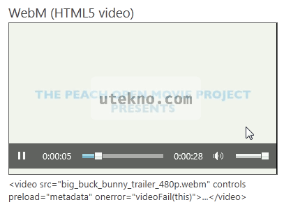 microsoft video format support webm