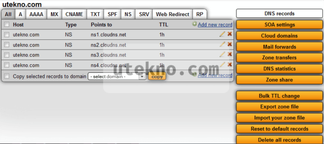 cloudns domain setting