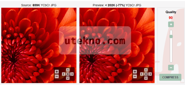 compressjpg image before after