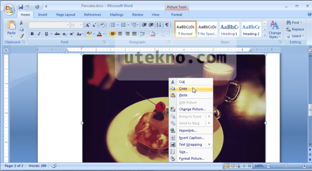 microsoft word 2007 copy