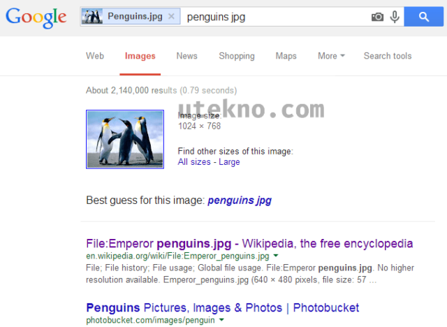 google search by images result 1