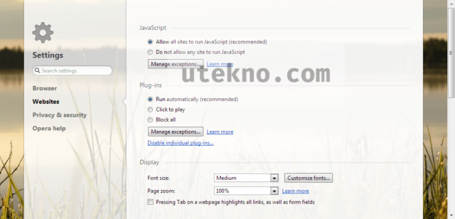 opera settings javascript plug ins display