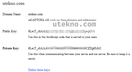 recaptcha-domain-public-private-key