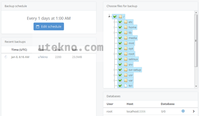 bitcalm backup server