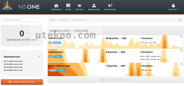 nsone domain dns records