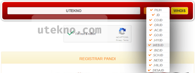 pandi cek whois domain