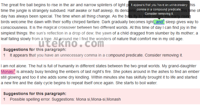 prowritingaid grammar report