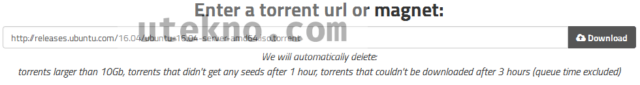 direct torrents