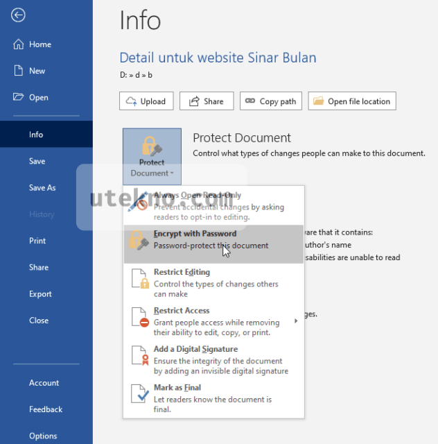 word 2019 protect document encrypt with password